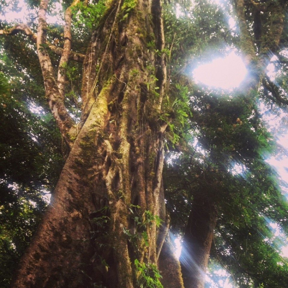 Costa Rica -  - 