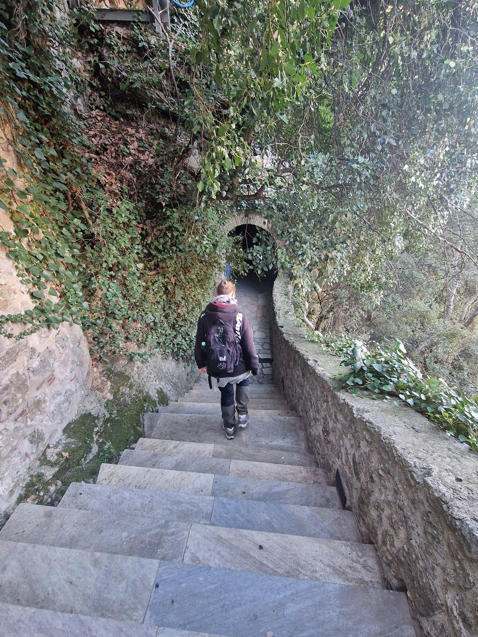 Griechenland - Vikos - 