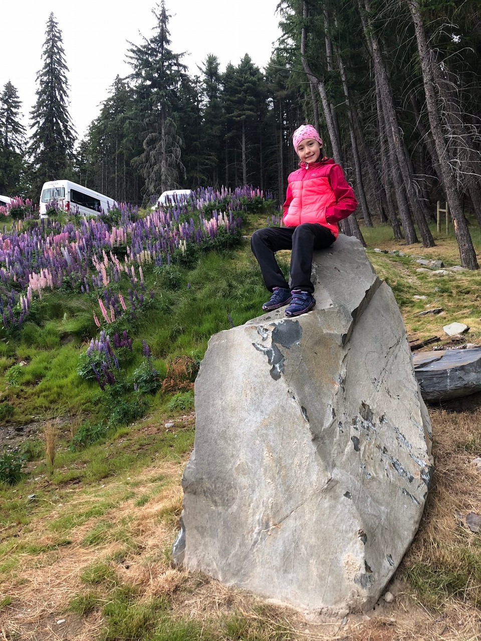 Neuseeland - Lake Tekapo - Dann bin ich auf einen Stein geklettert 