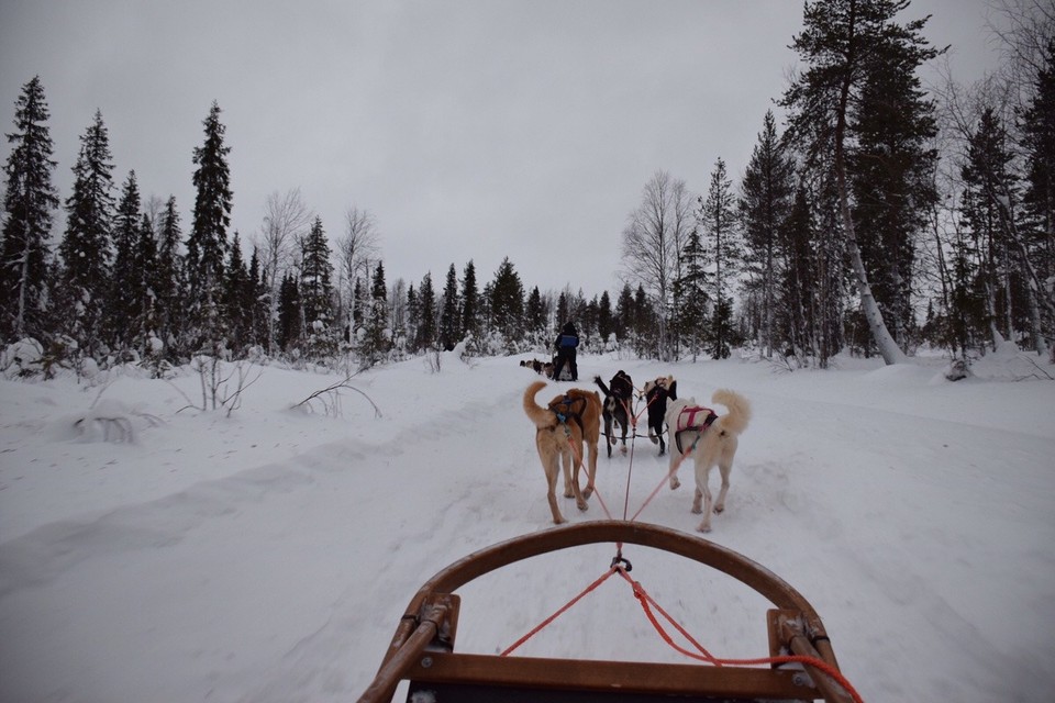 Finnland - Sirkka - 
