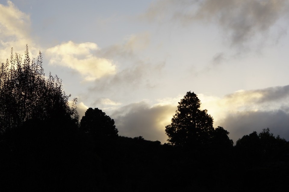 Neuseeland - Waitomo-Distrikt - 