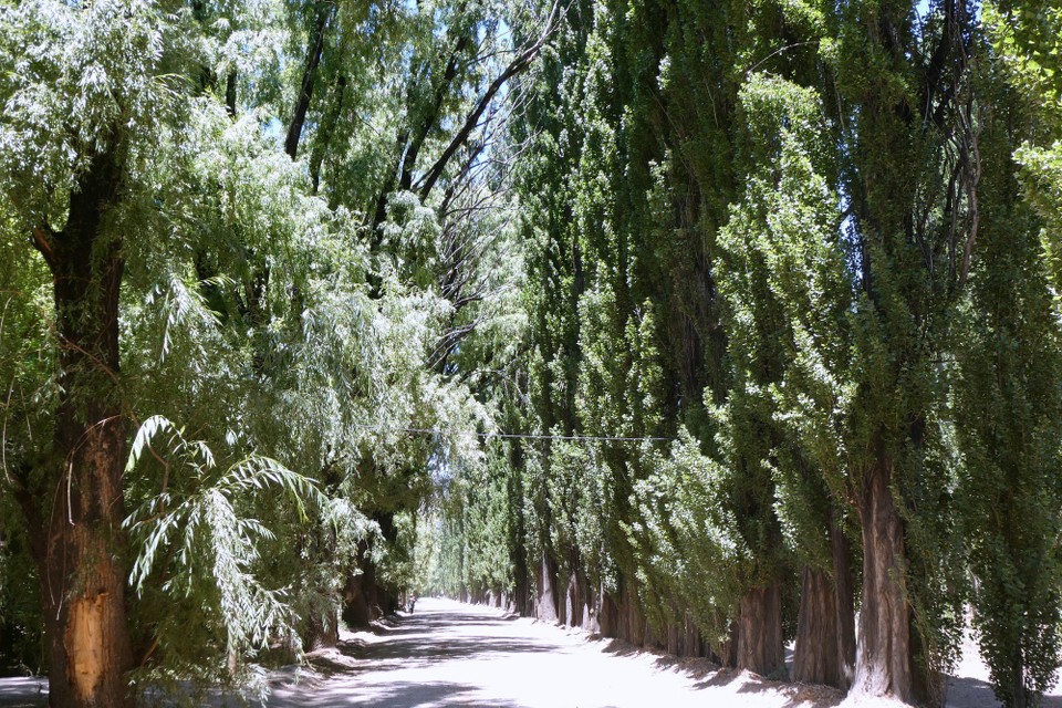 Argentinien - Mendoza - unterwegs