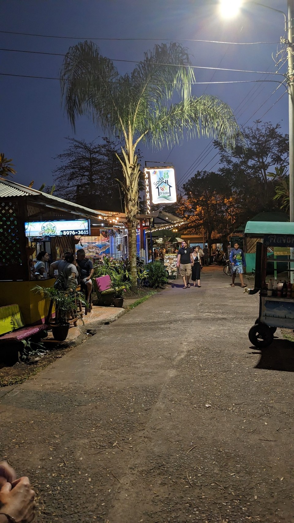 Costa Rica - Nationalpark Tortuguero - 