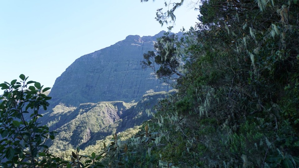 Réunion - Salazie - 