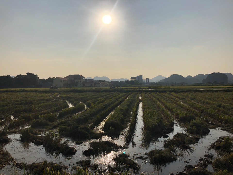 Vietnam - H. Hoa Lư - 