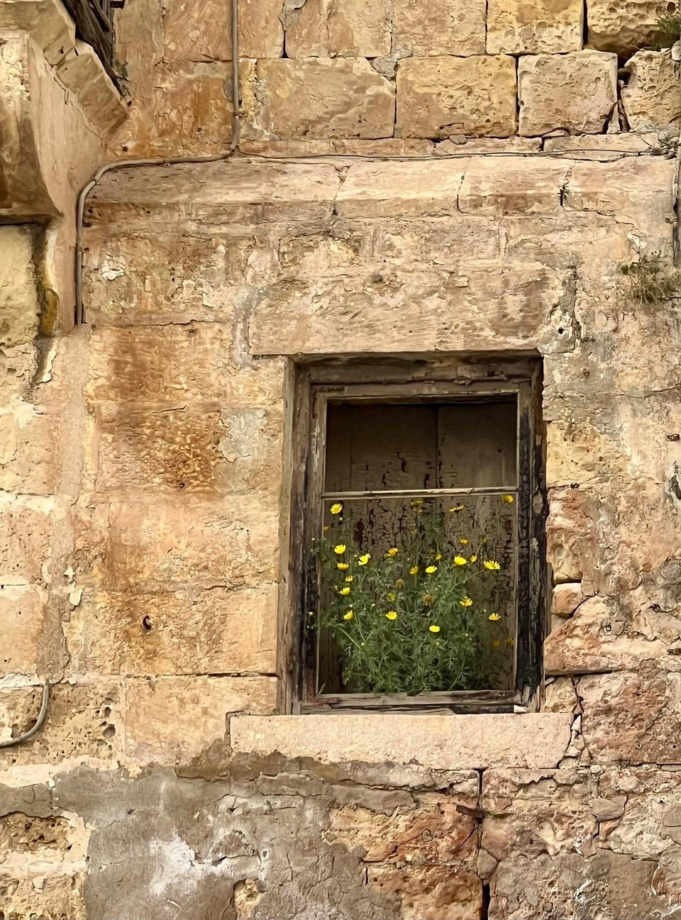 Malta - Valletta - 