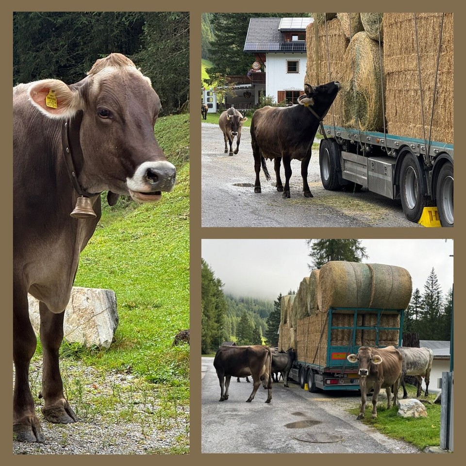 Österreich - Obernberg am Brenner - 