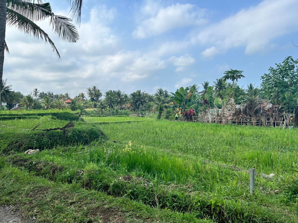 Indonesien - Gianyar - 
