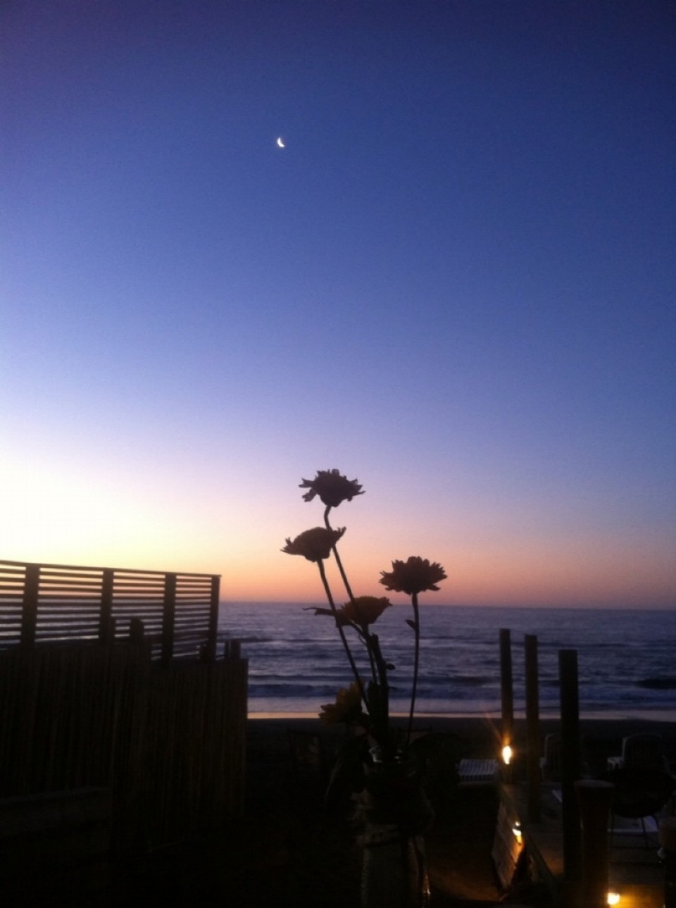 Chile - Pichilemu - 