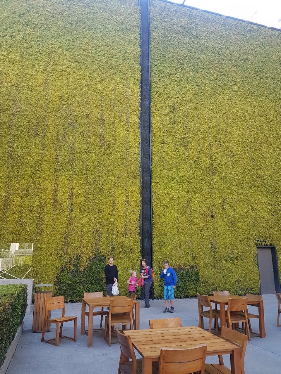 USA - Pacifica - Die Green-Wall neben dem Applestore