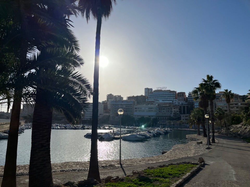 Spanien - Palma - Hafen in El Terreno