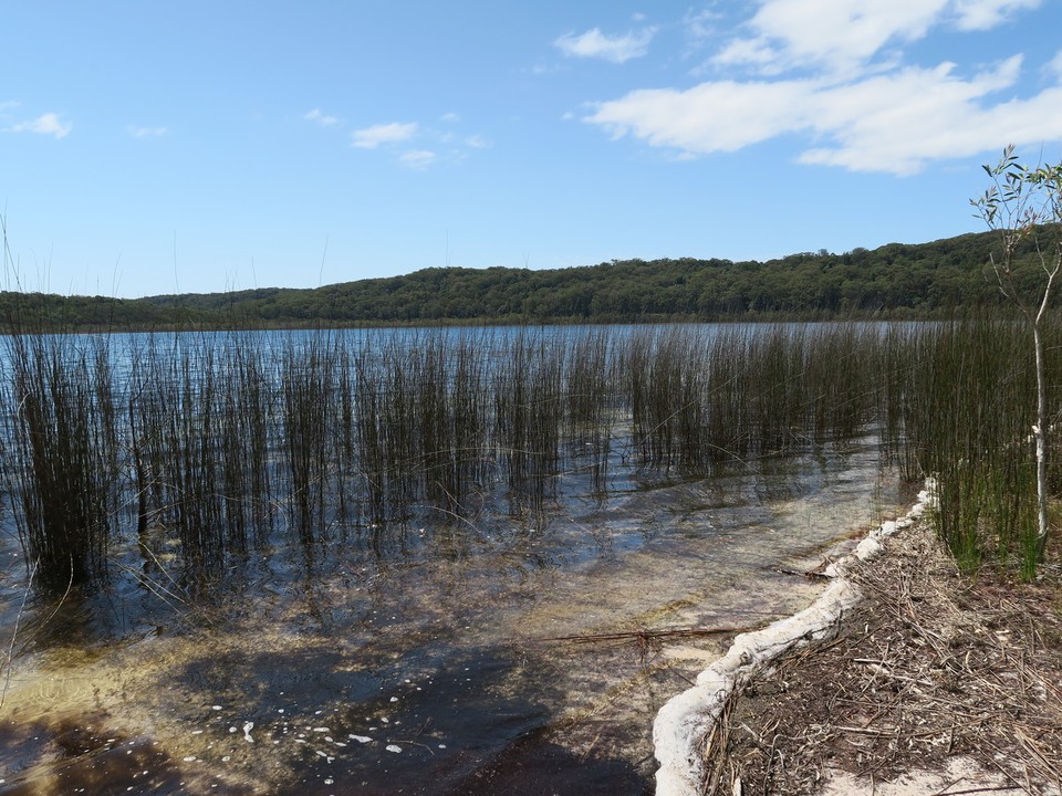 Australia - Fraser Island - Lac Birabeen