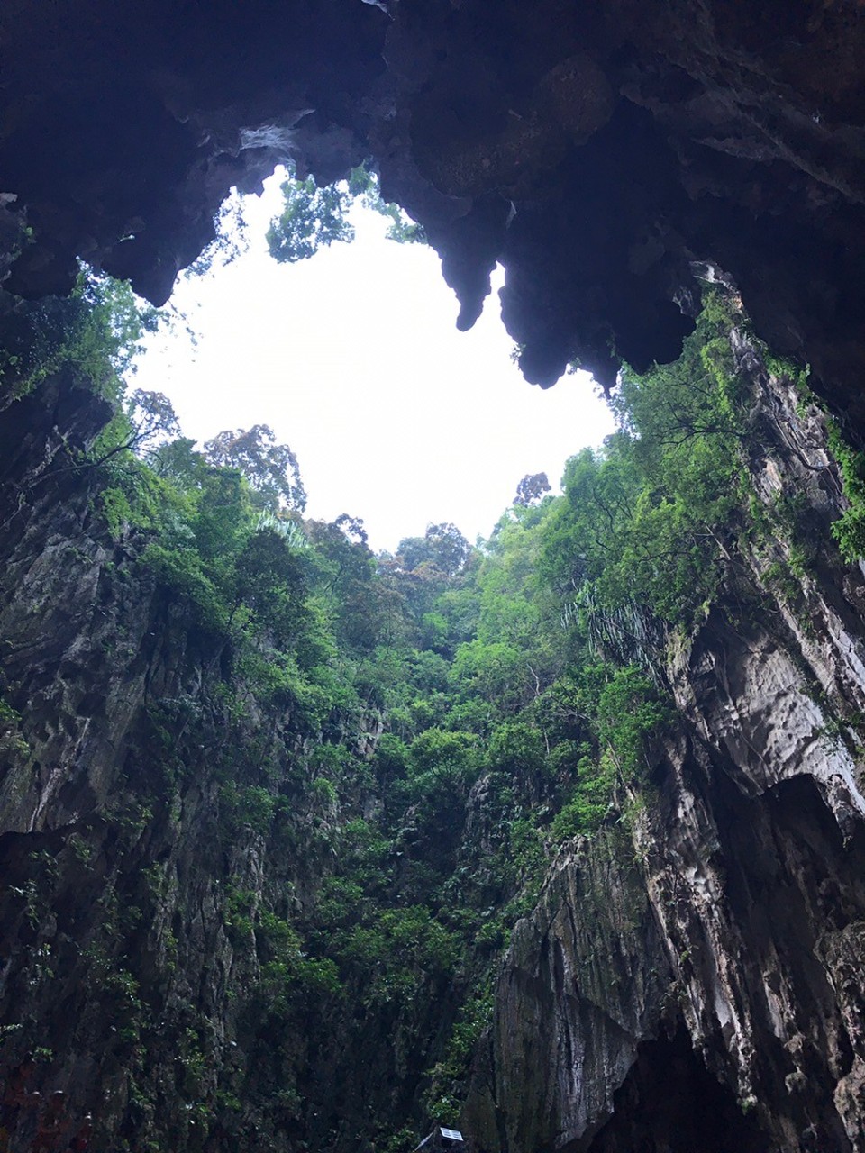 Malaysia -  - Sieht schon echt geil aus