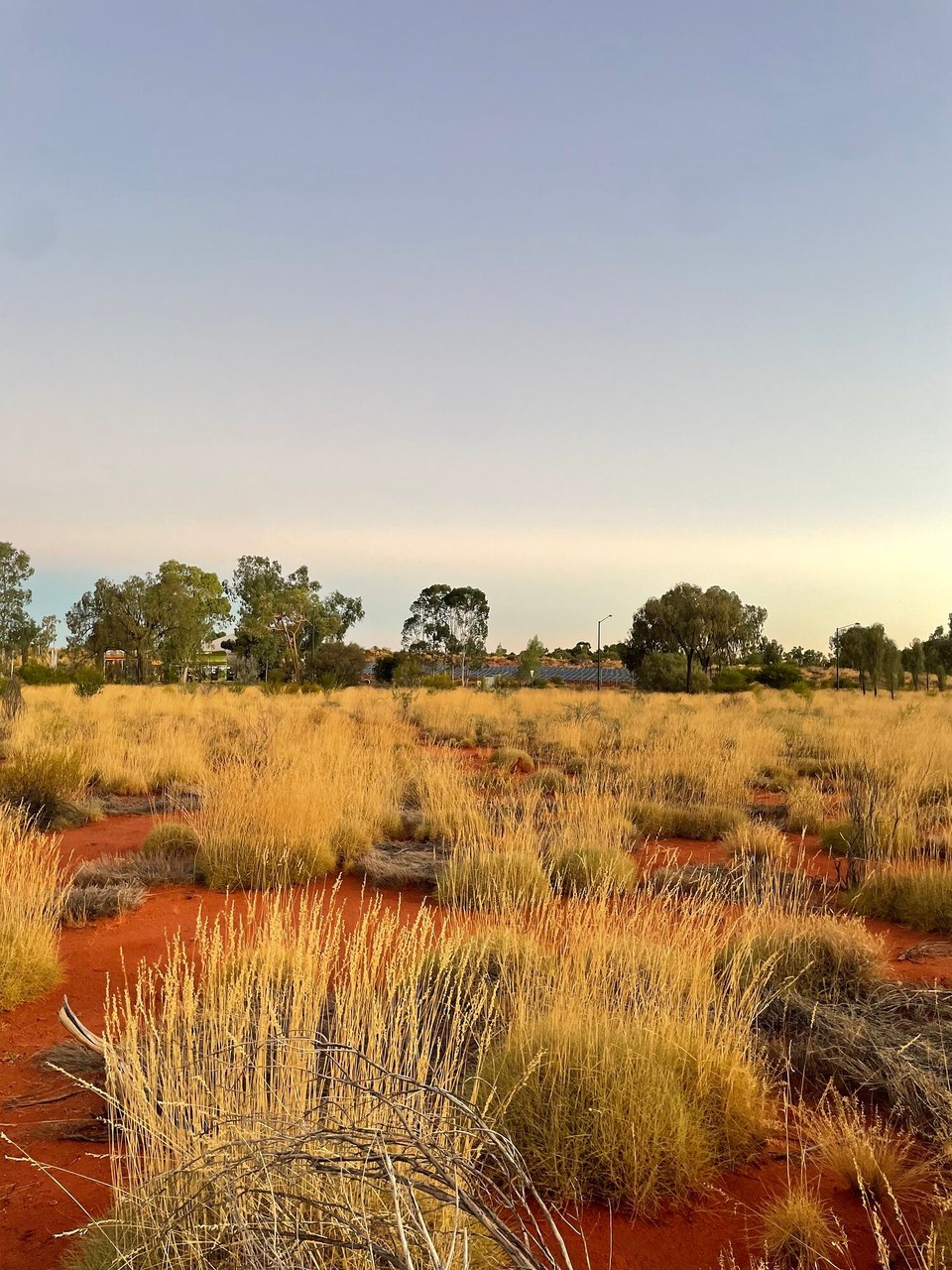 Australien - Yulara - 
