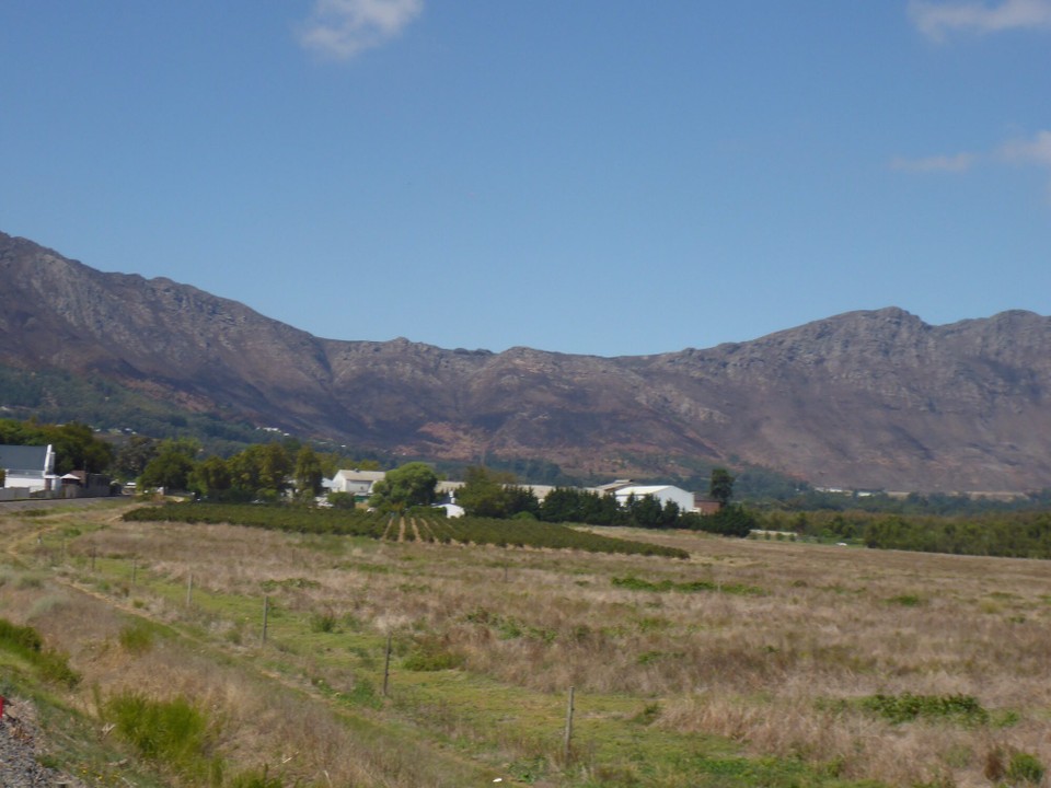 Südafrika - Stellenbosch - 