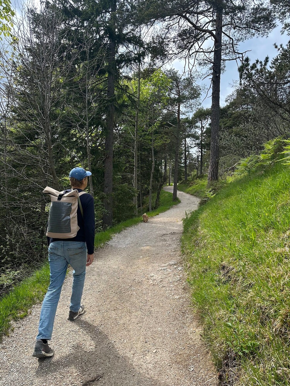 Deutschland - Mittenwald - 