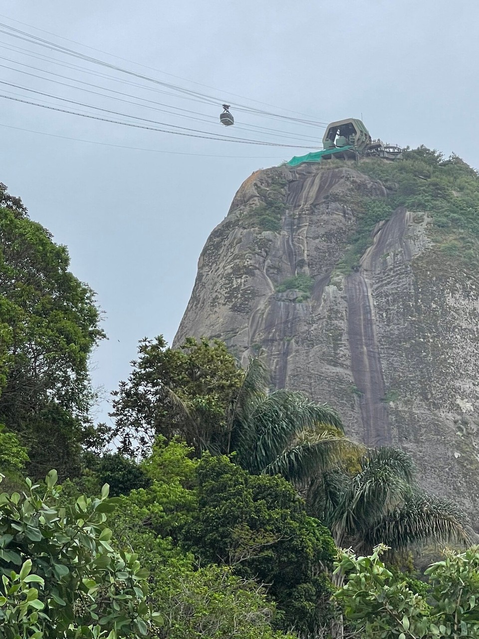 Brasilien - Rio de Janeiro - und vom Fussweg hinauf