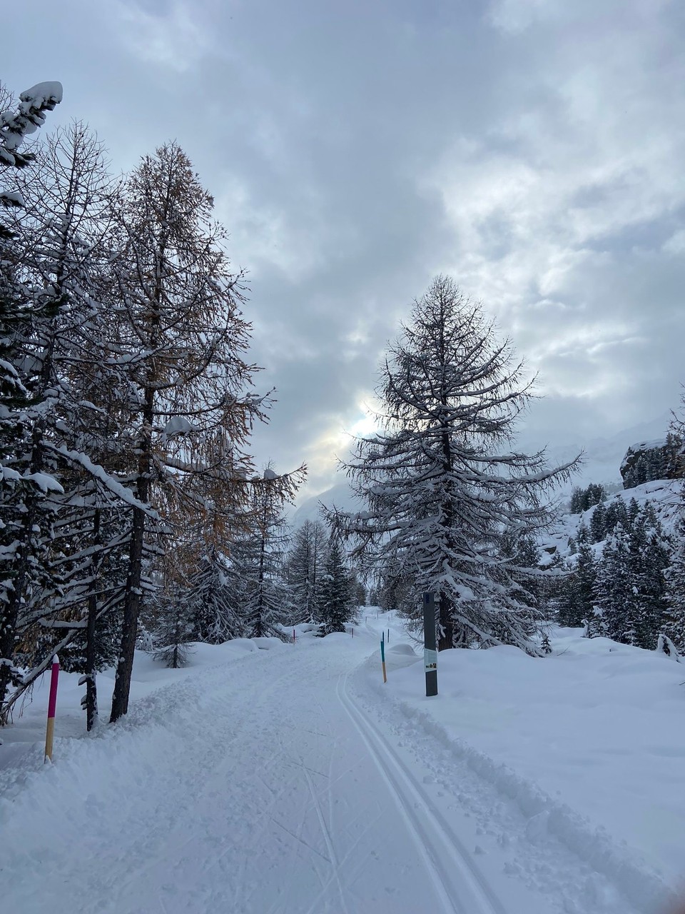 Schweiz - Pontresina - 