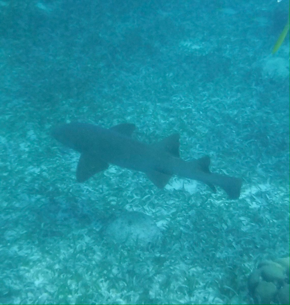 Belize -  - 