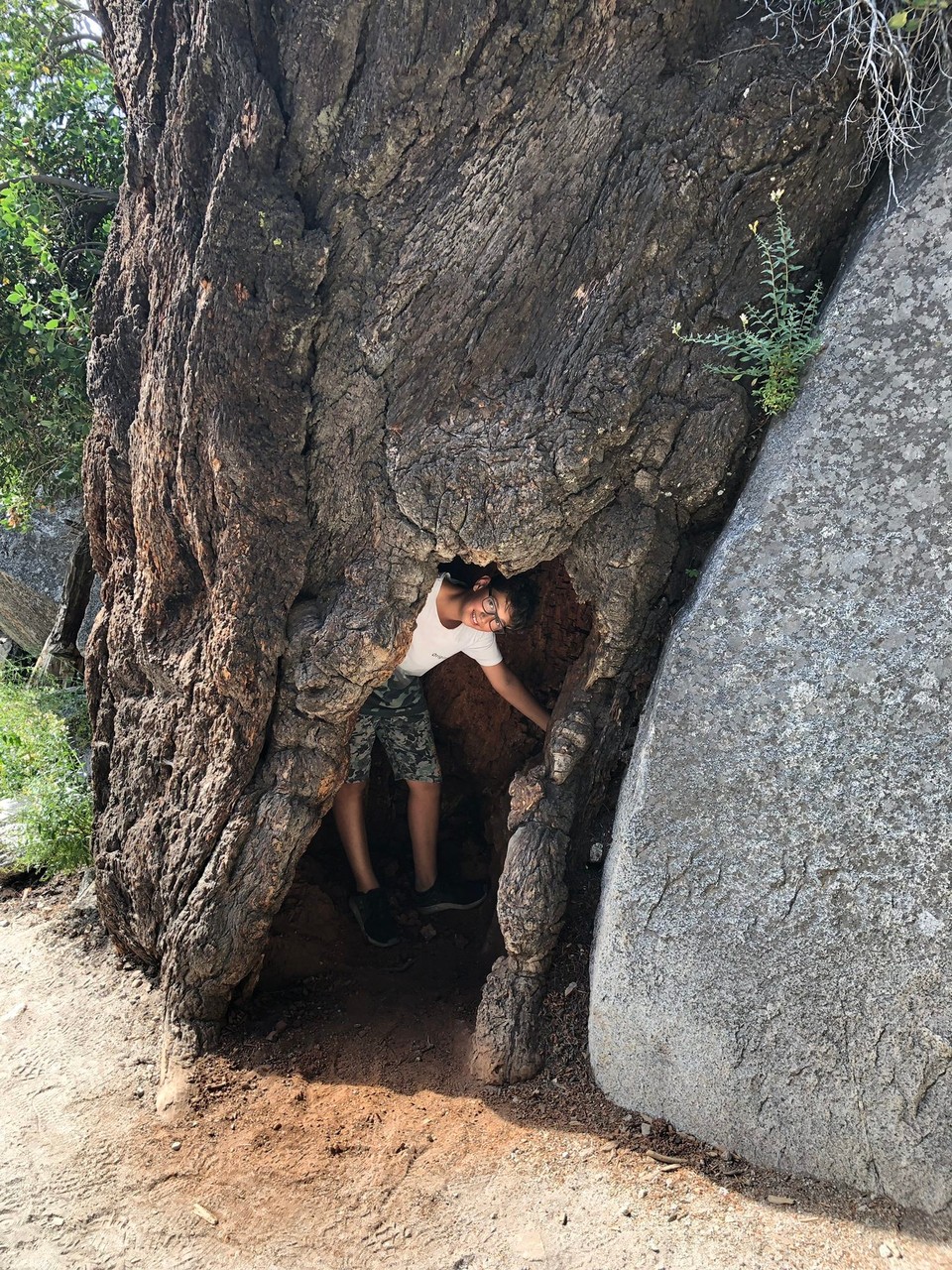Vereinigte Staaten - Yosemite National Park - 