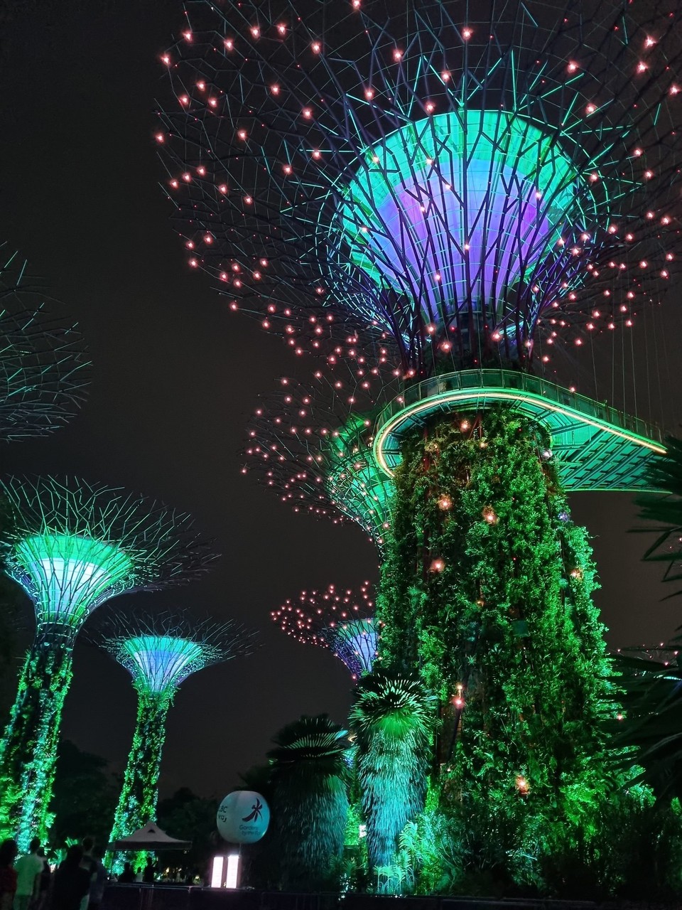 Singapur -  - Und die zweite Show - bei Gardens by the Bay 🌳