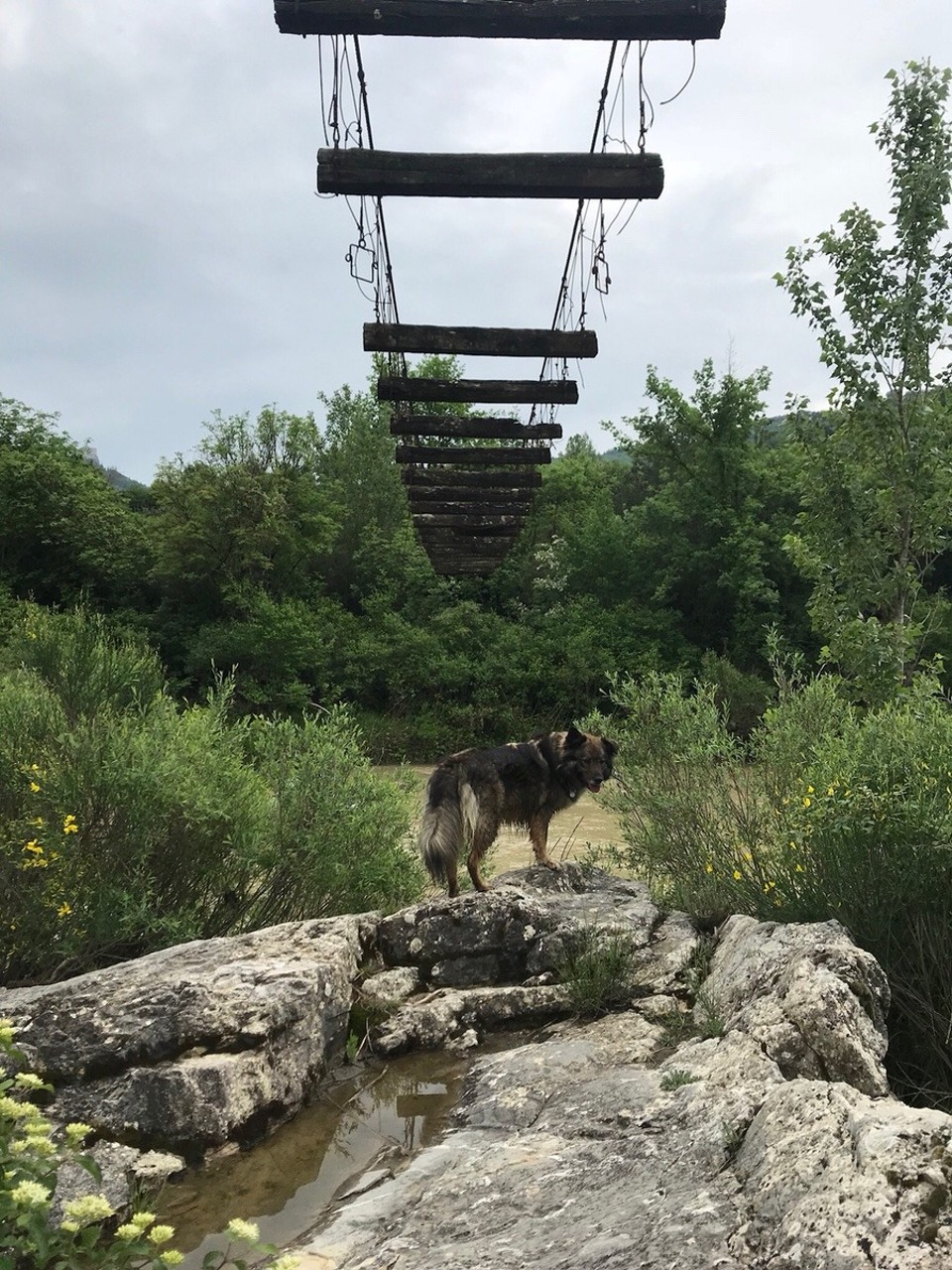 Italien - Bagno Vignoni - ... wir sind natürlich nicht über die Brücke gegangen