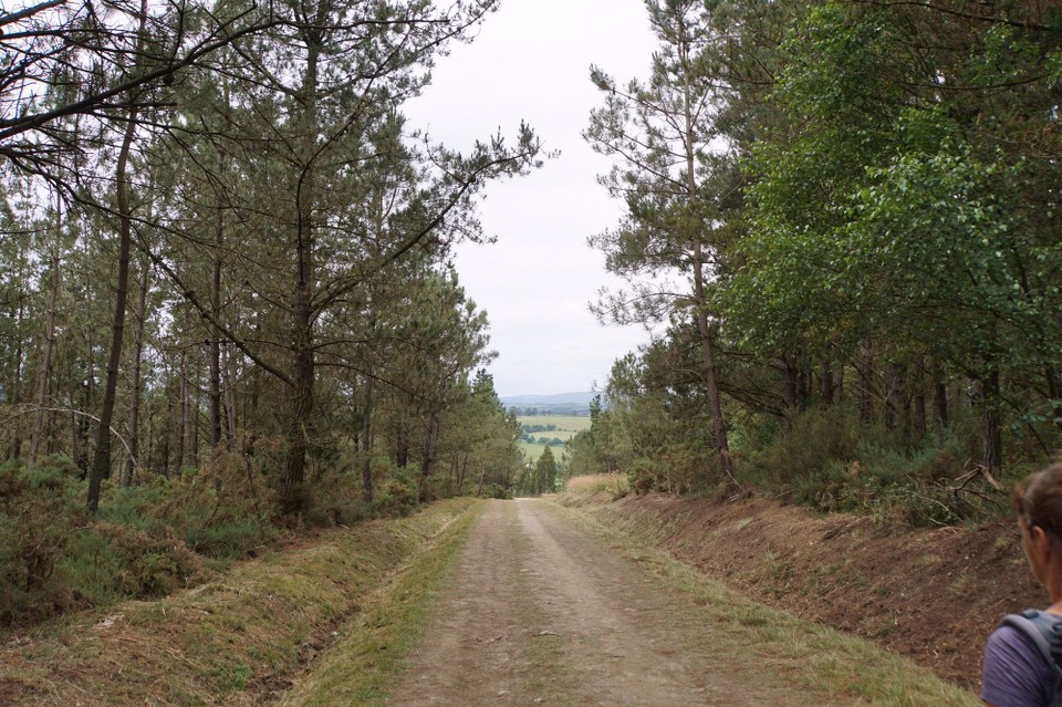 Spanien - Palas de Rei - 