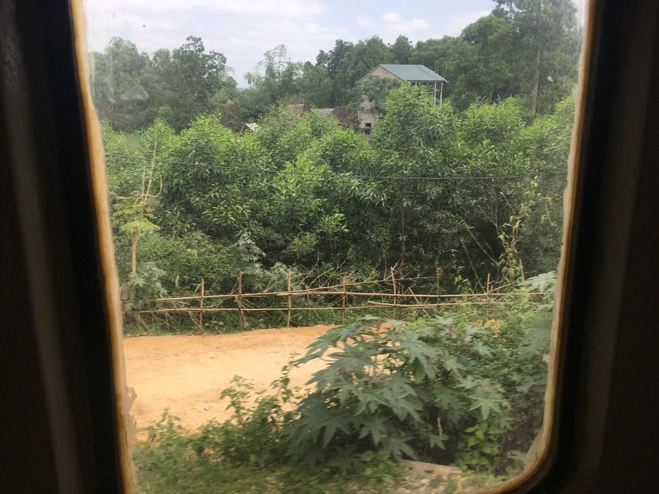 Vietnam - Ninh Bình - Vorbei am Dschungel...