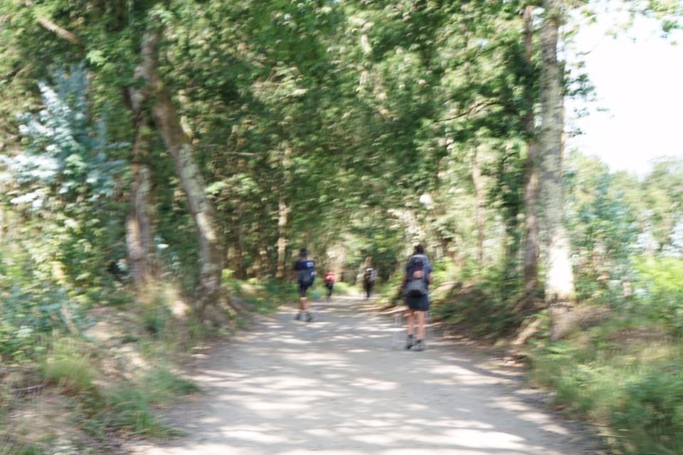 Spanien - Arzúa - 