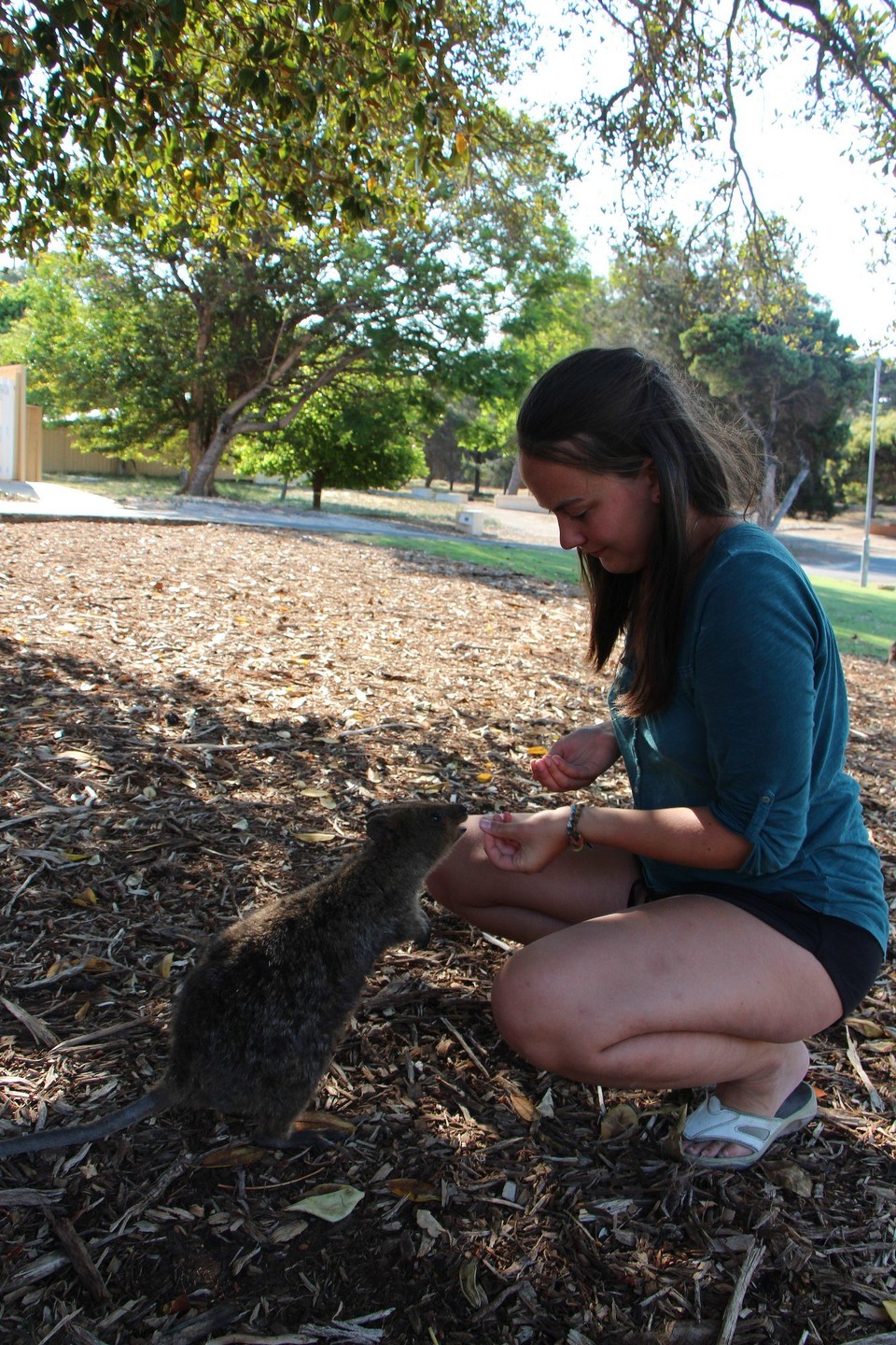 Australien - Rottnest Island - 