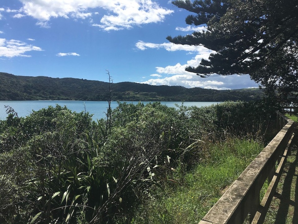 Neuseeland - Waitomo - 