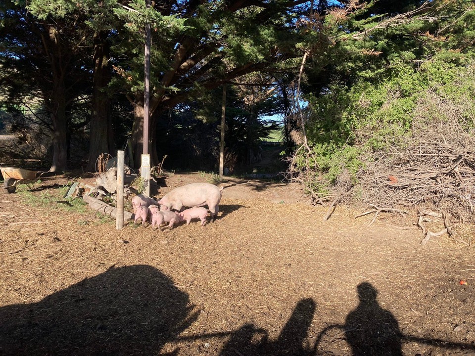 Neuseeland - Ward - Ausflug zu einem der Nachbarn um…