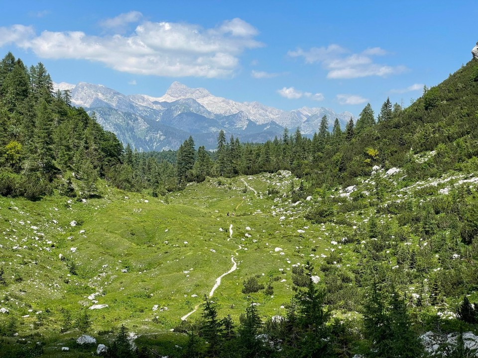 Slowenien - Bohinj - 