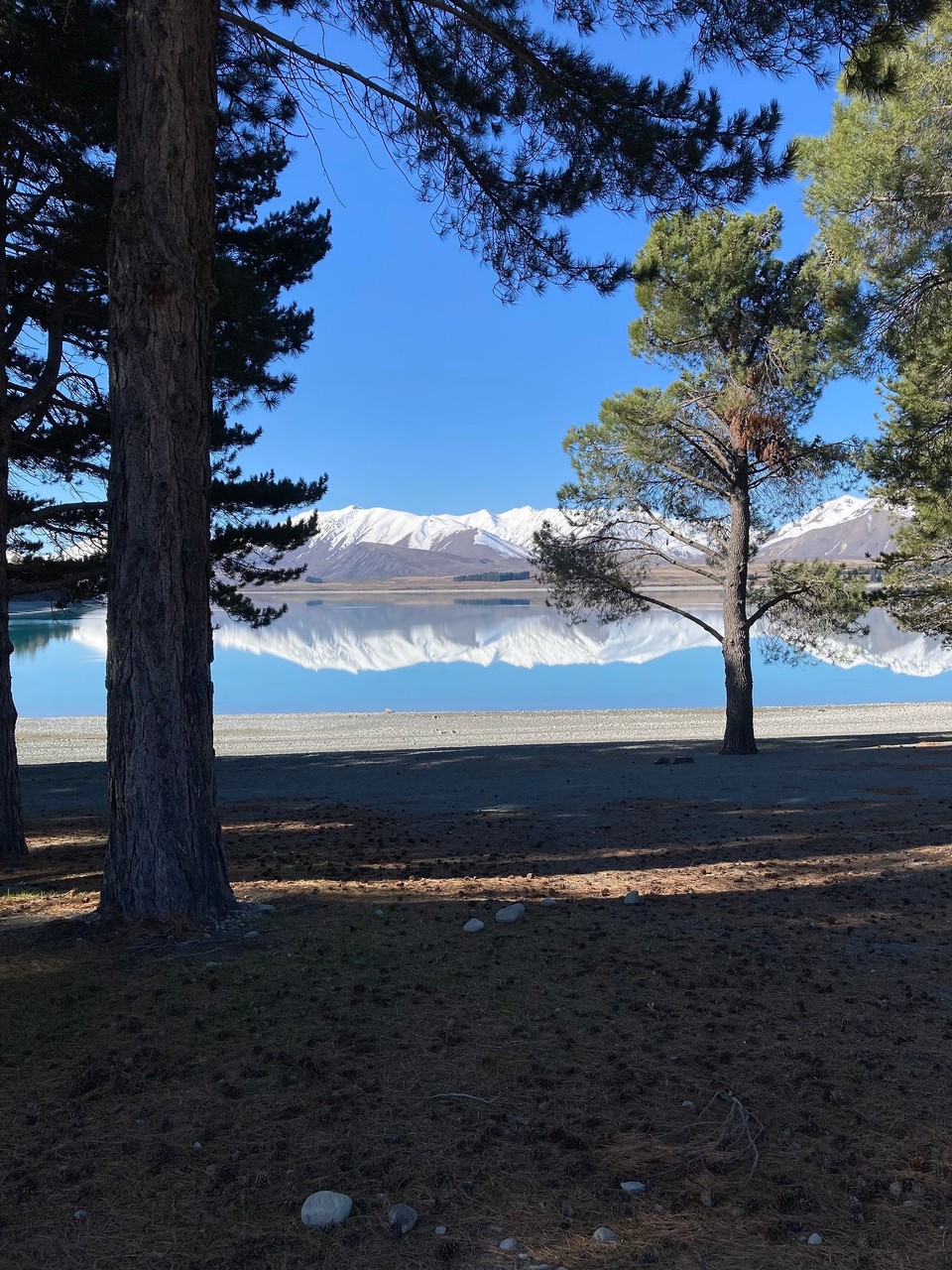 Neuseeland - Lake Tekapo - 