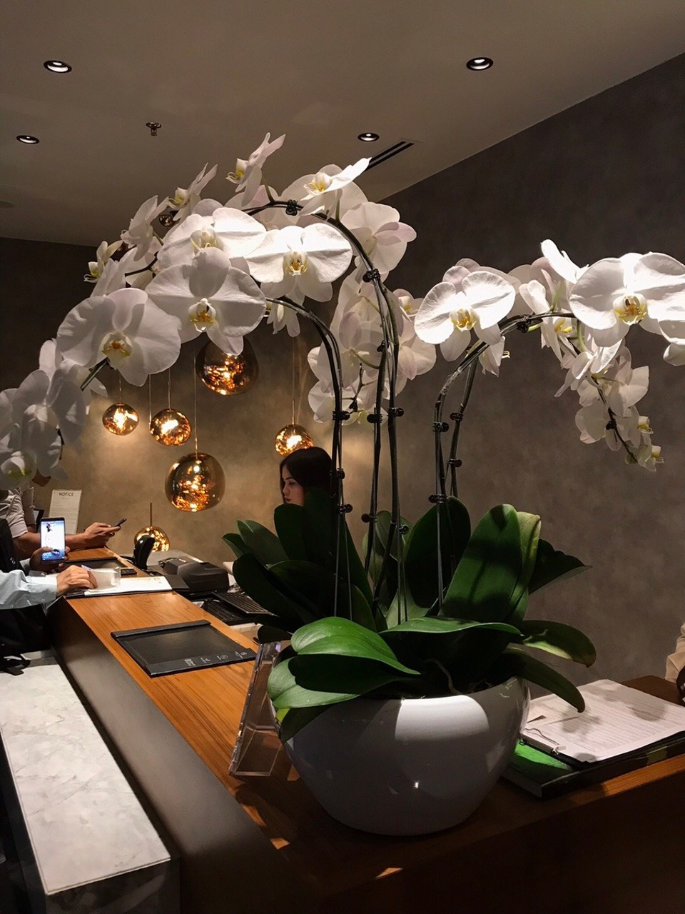 Indonesia - Sanur - Lounge at KL