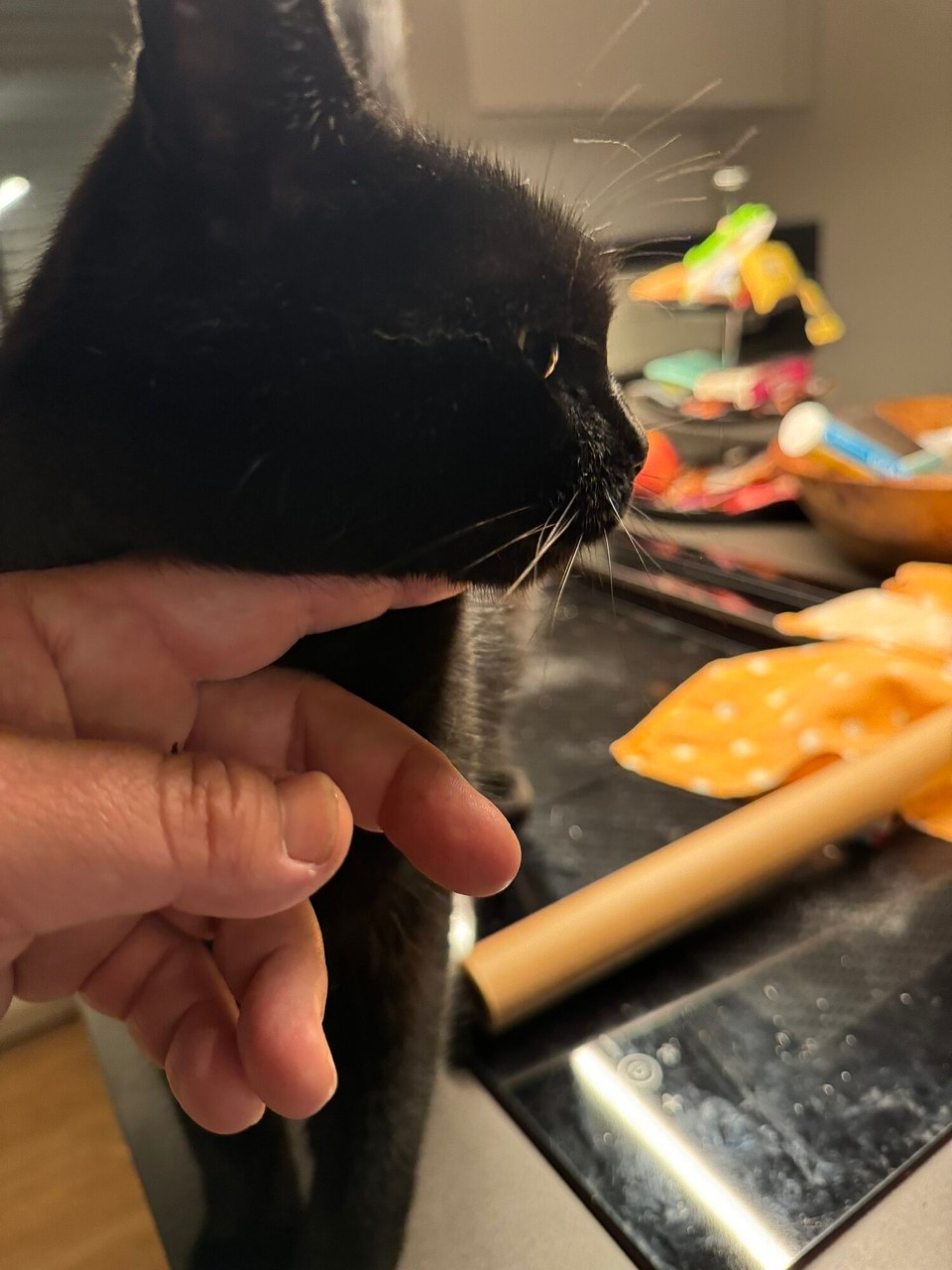 Deutschland - Reichshof - Pümchen freut sich