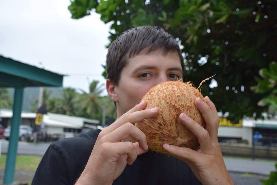 Cookinseln - Rarotonga - Eine "Nu" - so heißen die jungen Kokosnüsse, die überall am Straßenrand zum Trinken verkauft werden