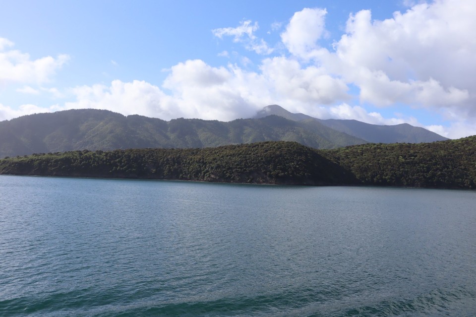 Neuseeland - Picton - 
