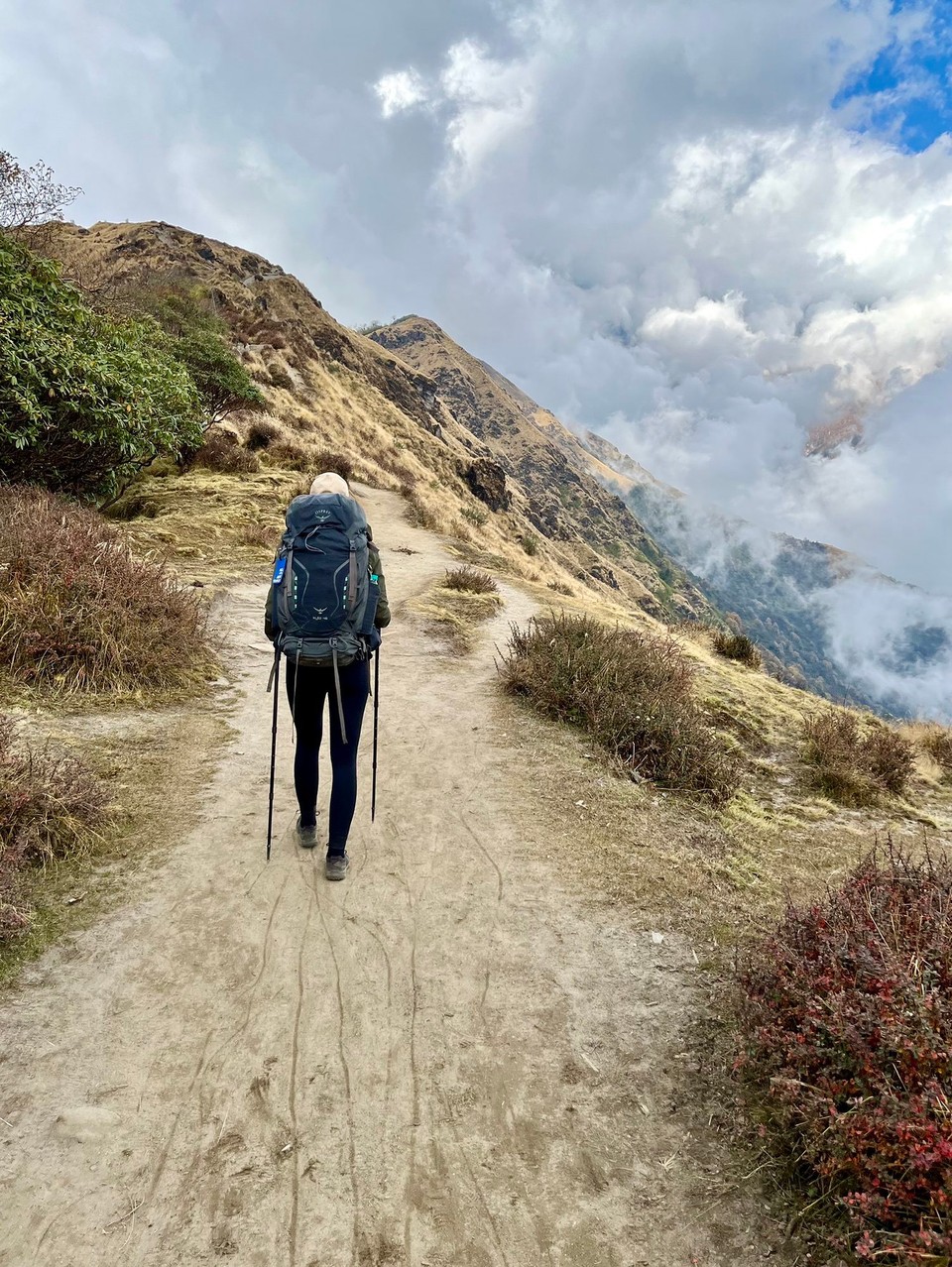 Nepal -  - 