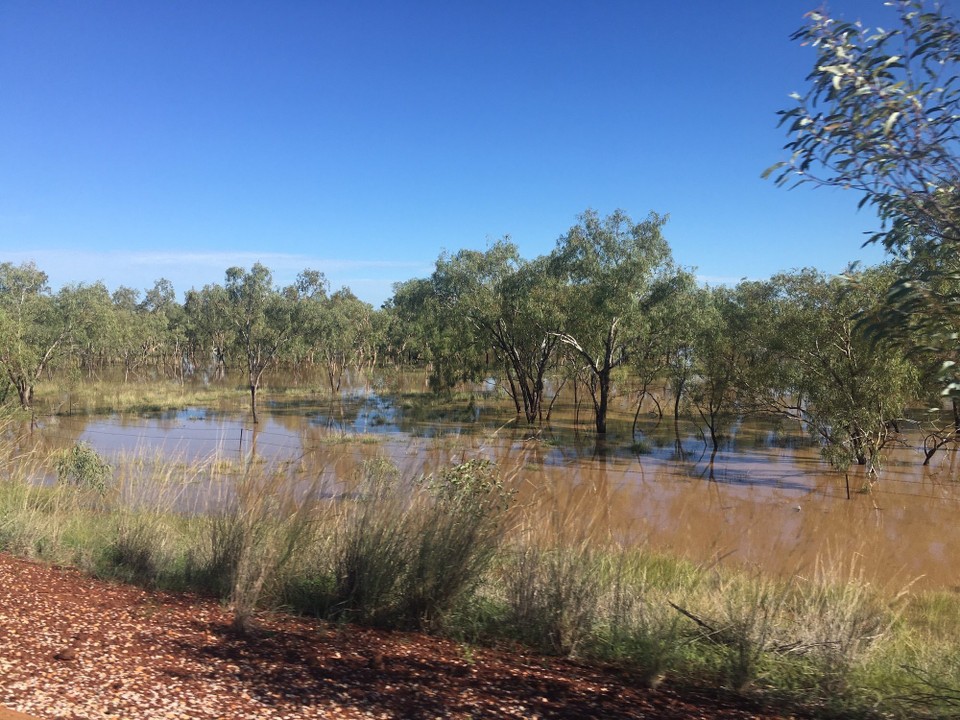 Australien - Litchfield Park - Überall sieht man aber, die Regenzeit ist noch nicht um. 