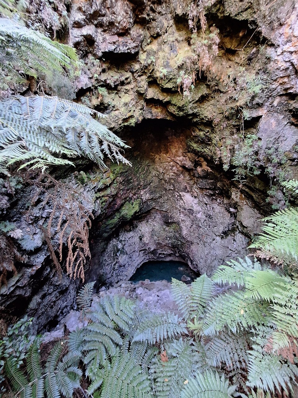 Neuseeland - Turangi - Die Cave - Höhle