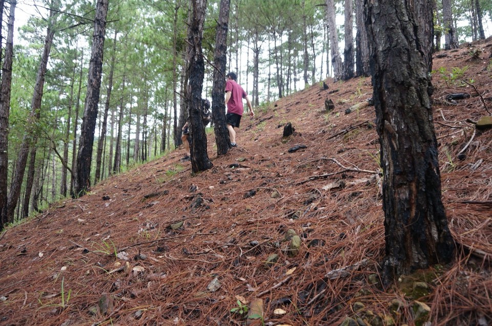 Vietnam - Da Lat - 