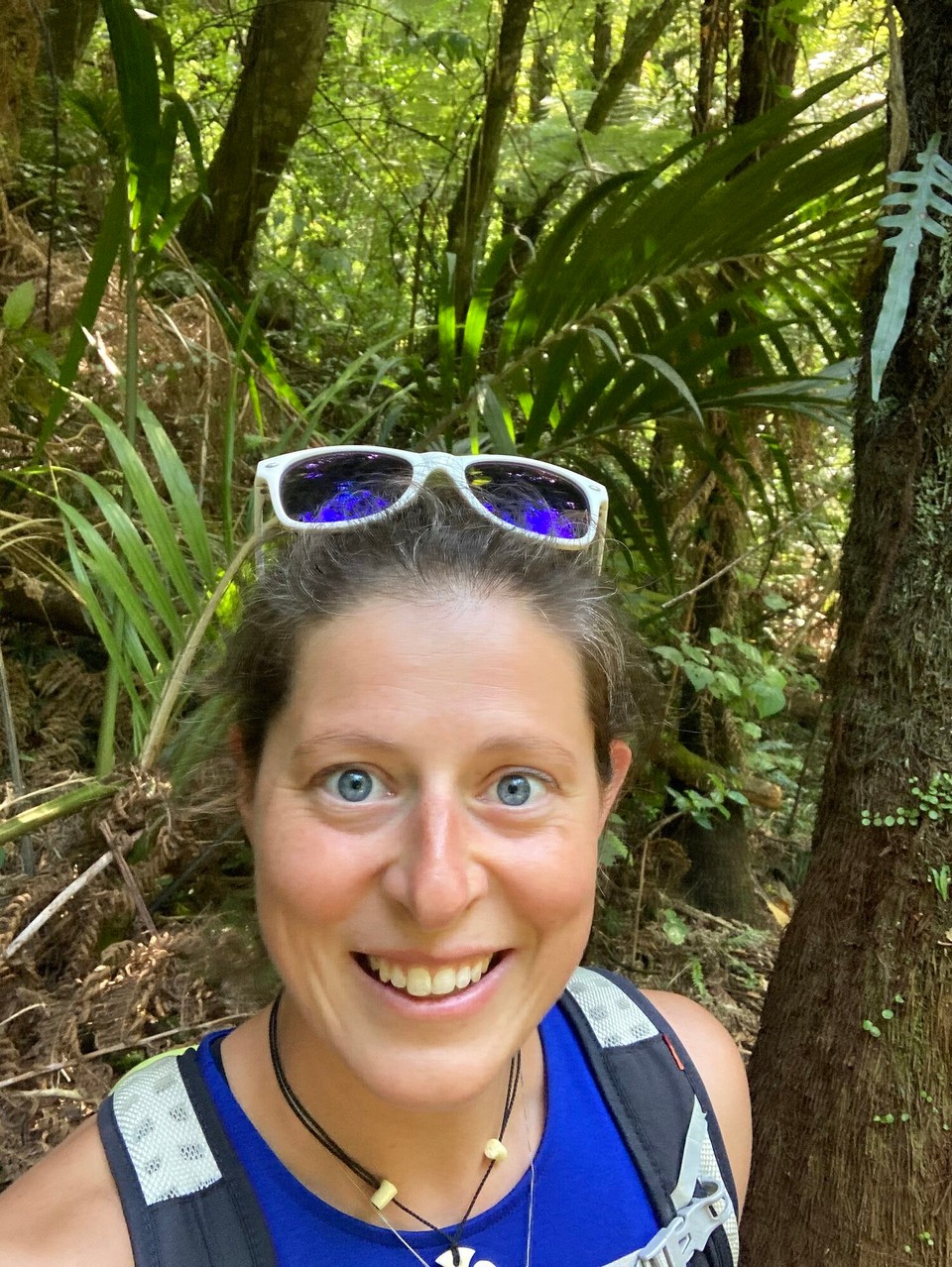 Neuseeland - Te Puke - 