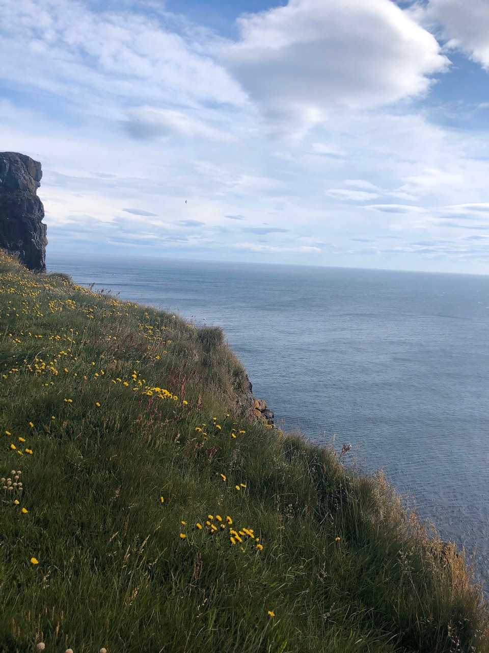 Island -  - Noch einmal ein Eindruck von der Steilküste. Es ist mega Wind hier oben...