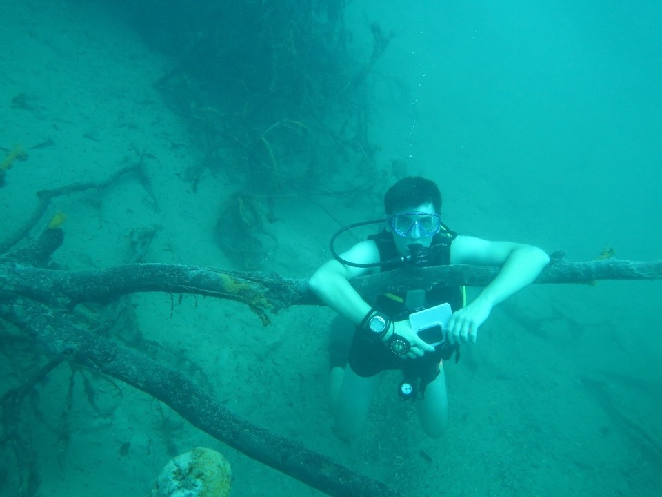 Philippines - Coron - Sur un arbre suspendu