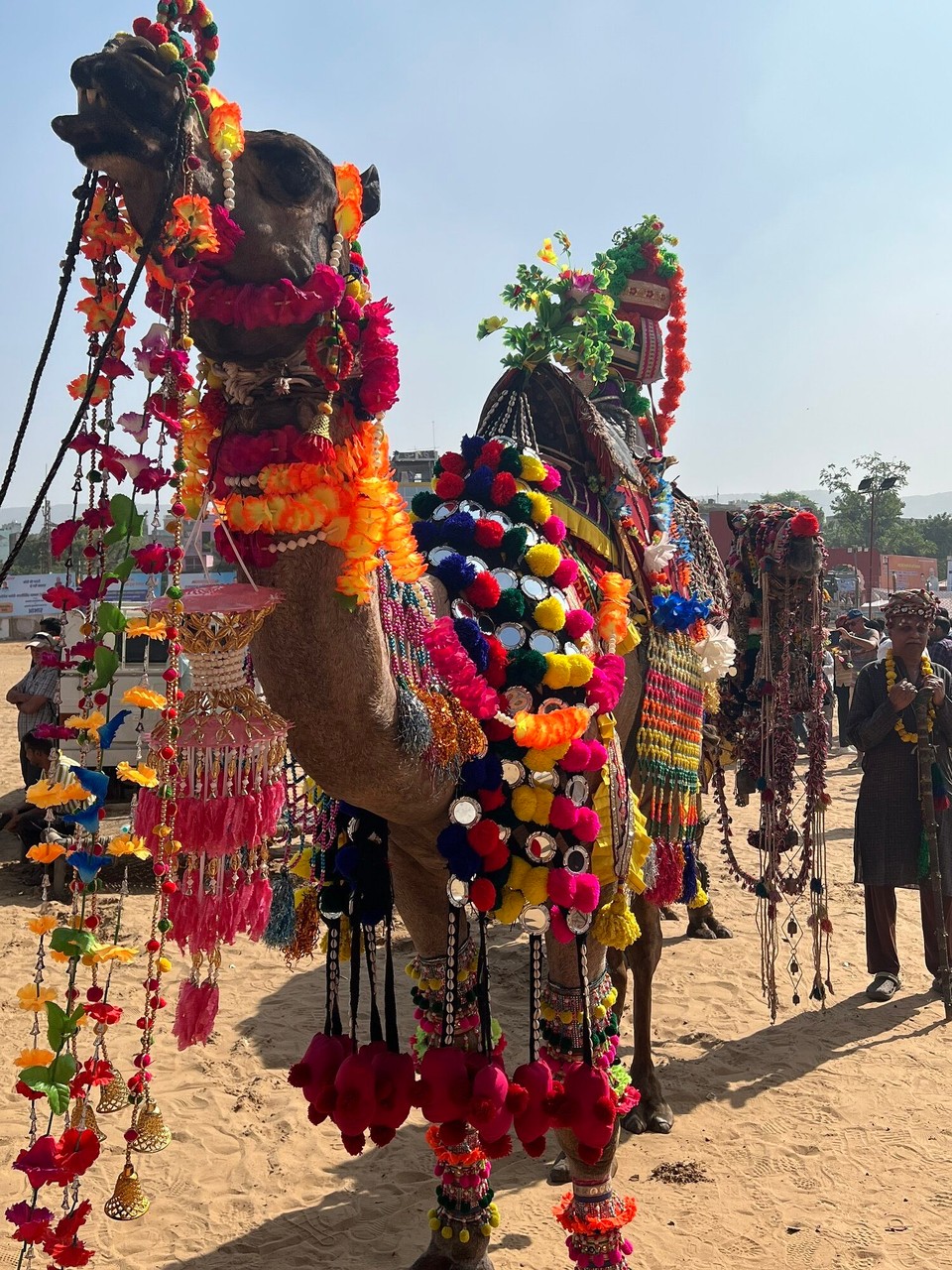 Indien - Pushkar - 