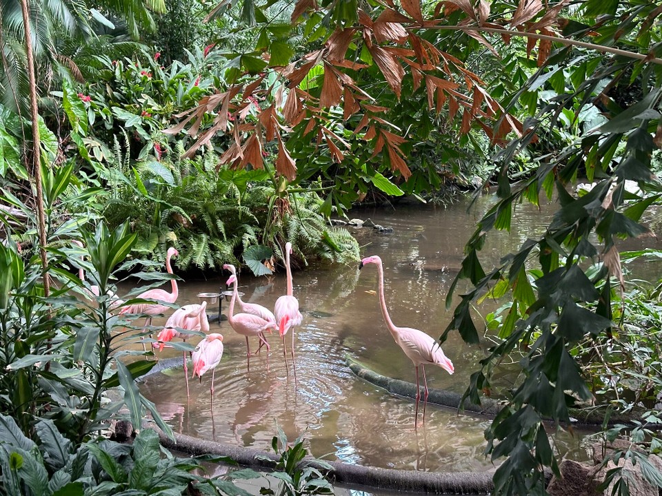 Deutschland - Halbe - 