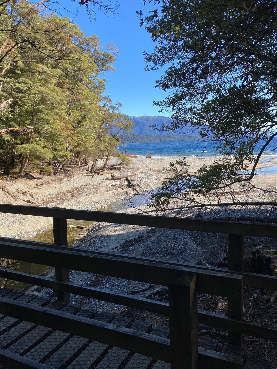 Neuseeland - Fiordland National Park - 