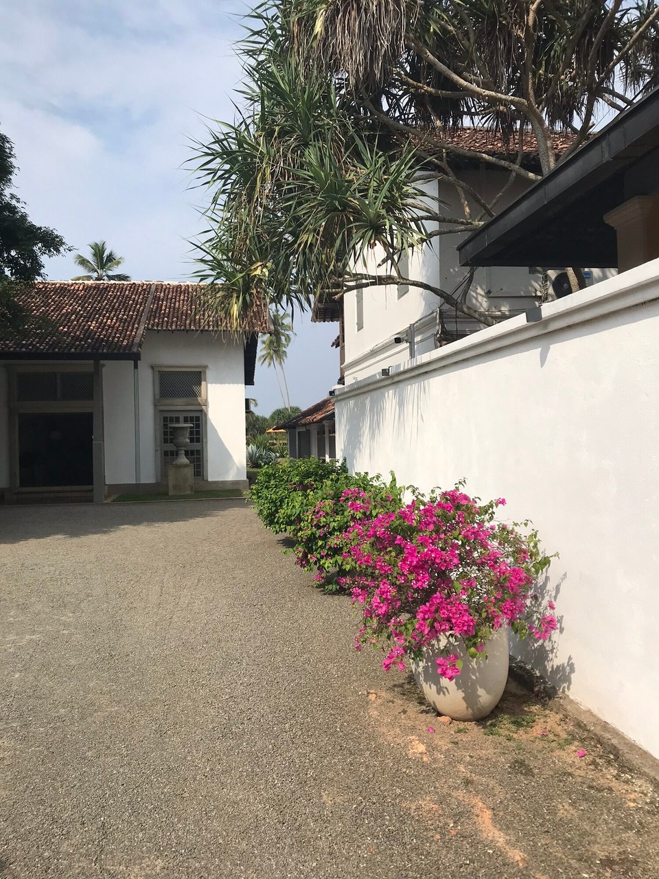 Sri Lanka -  - 