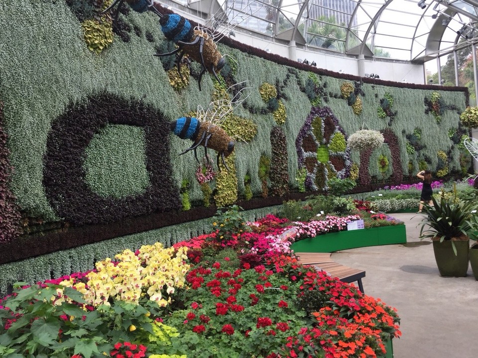 Australien - Sydney - Indoor Blumenwand im Botanischen Garten 